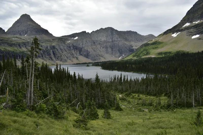 The Paperwork Paradise: When a Government Typo Accidentally Created America's Most Protected Wilderness